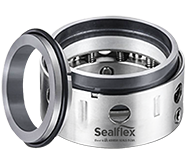 Multi Spring Balanced Mechanical Seal